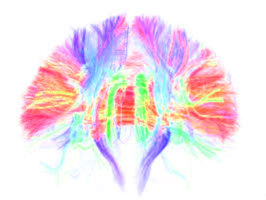 Thought Designers logo